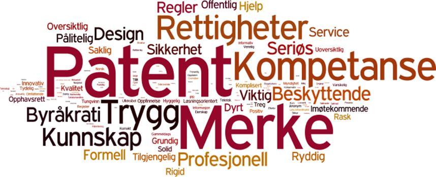 «Patent» og «Merke» var det som oftest kom frem, og det var liten forskjell i hva de