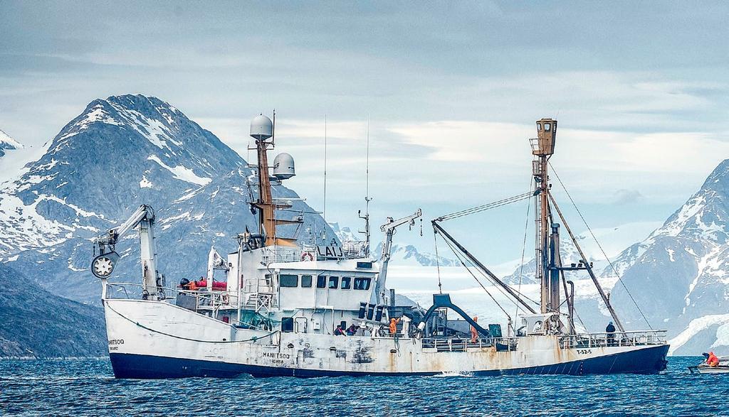 Nutaaq ER HVITERE Nutaaq ER MER SMAKFULL I etterkant blir torsken renset og filetert i en maskinell prosess og deretter håndtrimmet til perfeksjon.