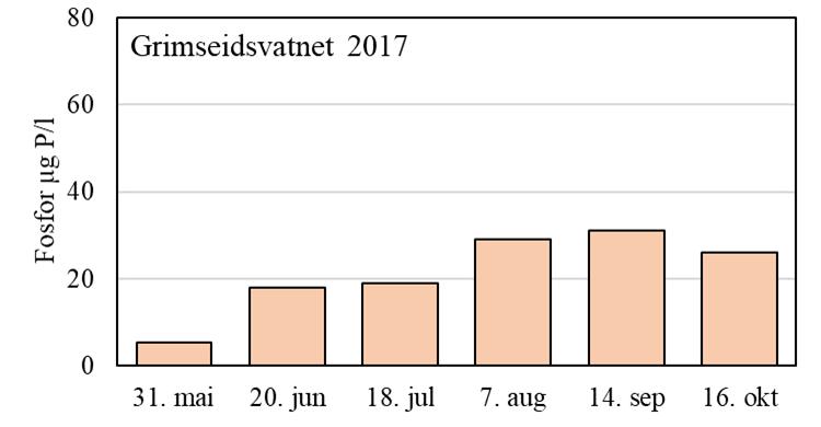 Gjennomsnittet var på 40 µg P/l, som tilsvarer tilstand «dårlig» (tabell 6).