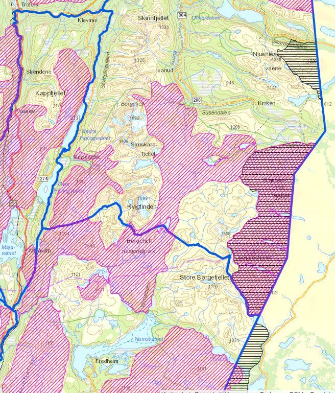 Tjaktje-giesie/høst-sommer Sopp er en delikatesse for reinen som er viktig for å bygge opp fettreservene før vinteren.