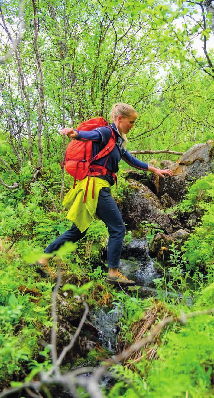 Vi oppfordrer våre gjester til å ikke oppbevare bagasje i skipenes fellesarealer. Eventuell annen overdimensjonert / tung bagasje regnes som last, og må betales for i henhold til Nor-Lines priser.