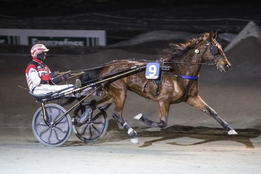 Tor-Martin Moe Rekord.løp 700m MUITO OBRIGADA Gunnar Austevoll.