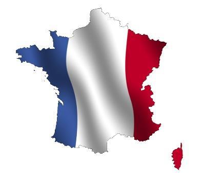 Fransk nivå III Bygger på fransk II (fellesfag) Fransk er et fag for deg som er interessert i språk, kommunikasjon, kultur og samfunn.
