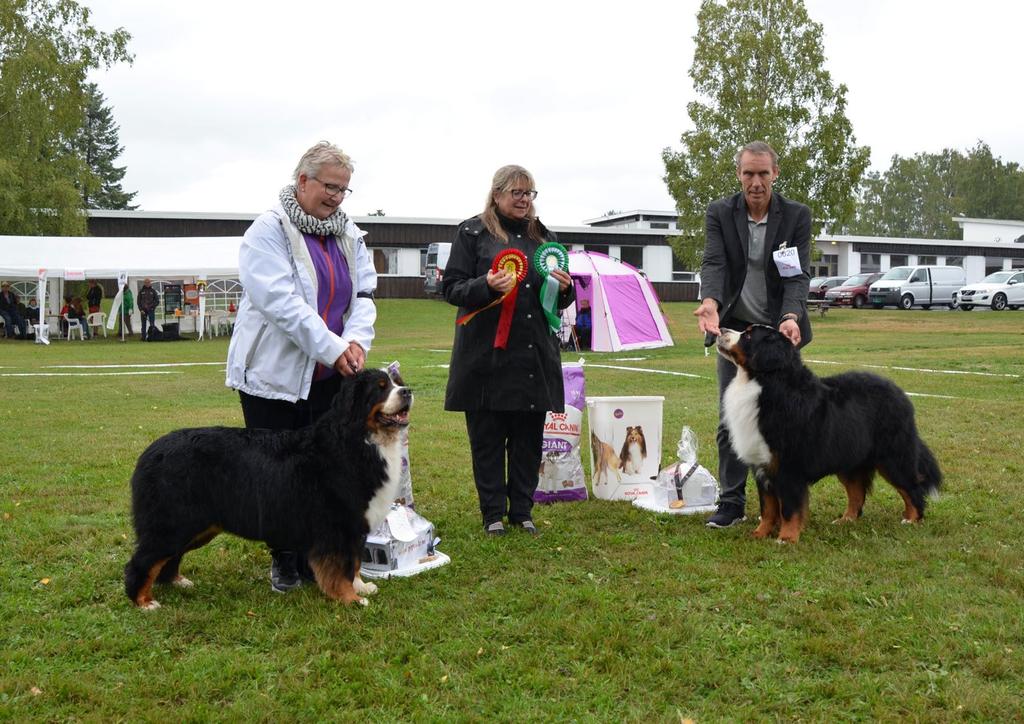 Hedmarkspesialen 2018! Fotograf B.