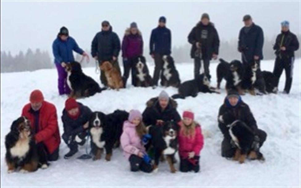 Kommende aktiviteter Avd. Treff på Bokrudstad hundesenter, 25. november 2018 kl 11.