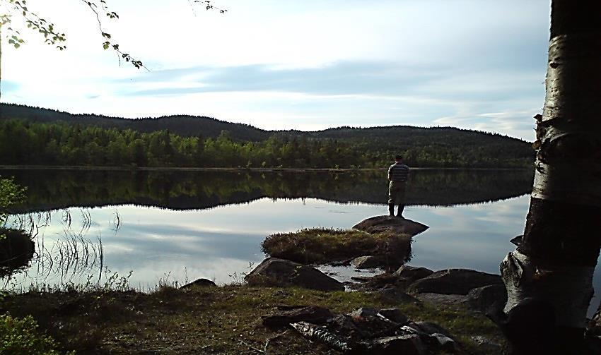 I nordre del av sjøen, er det en god del bebyggelse med nærhet til sjøen. Dette gjelder gårdsog boligbebyggelse samt enkelte institusjoner, hotell og andre overnattingstilbud.