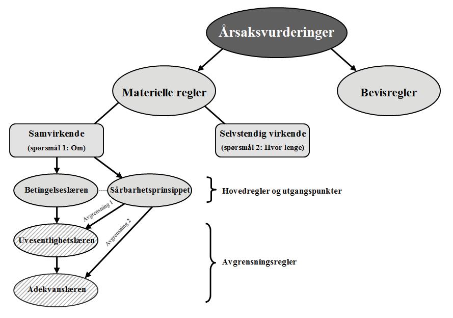 Figur 2. Årsaksvurderingens «kronologi» Modellen viser det som kalles for årsaksvurderingens «kronologi». Med dette menes at den angir rekkefølgen i hovedtrinnene for å vurdere årsakssammenheng.