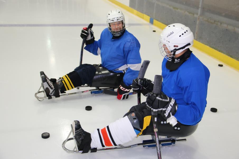 Kjelkehockeyskolen går over 4 søndager i Leangenhallen (Ungdomshallen) i Trondheim: 3. mars, 10. mars, 17. mars og 24. mars. Alle ganger kl. 1515-1630. Oppmøte 30 min før. Ha på varmt undertøy.