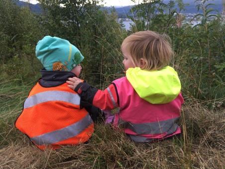 Fagområdene Rammeplanen inneholder sju fagområder vi skal arbeide med i barnehagen; «kunst, kultur og kreativitet», «natur, miljø og teknikk», «kropp, bevegelse og helse», «antall, rom