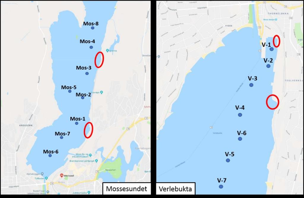 Verlebukta Mossesundet Fra hver stasjon ble det tatt prøver av overflatesediment (0-1 cm, merket med K) og fra dypere sediment (0-10 cm, merket med G).