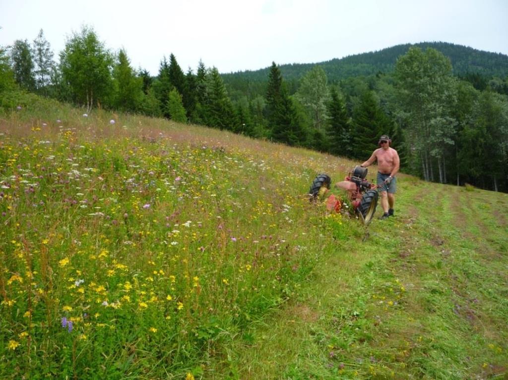 av at gjødsel var ein minimumsfaktor, og matjorda (kornåkeren/potetåkeren) måtte prioriterast.