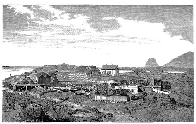 Liv Borgen 6 Figur 6. Gjesvær på Magerøya i Finnmark (71 7' N), den nordligste og mest værutsatte av Schübelers forsøks stasjo ner. Gjengitt fra «Viridarium Norvegicum» bind I, 1886.