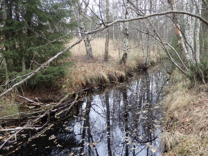 Utløpet av Prisringvatnet er en kunstig kanal som ble