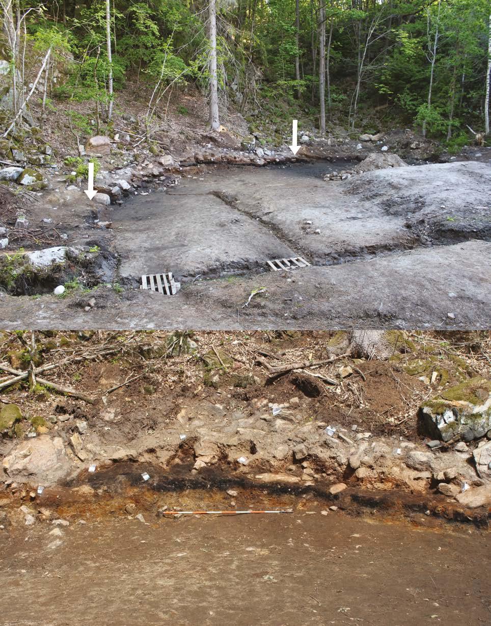 296 KYSTENS STEINALDER I AUST-AGDER Figur 2.4.1.11: Øverst: Det gjenstående profilet fra forvaltningsundersøkelsen i 2014, før feltkurset i 2015, sett mot nordøst.