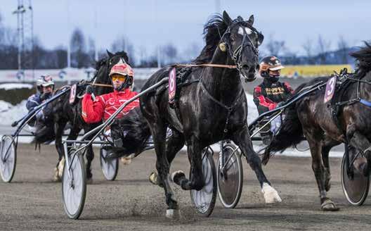 GRATIS INNGANG anekode: 01 Varmingsinfo fra Ole onny Solberg ERKEANEN Nr 17/2019 Kr 25 Ingbest/Tom Erik Solberg vant Lars Laumbs løp 2018. Foto: hesteguiden.com www.bjerke.no Lørdag 23. februar - 1.