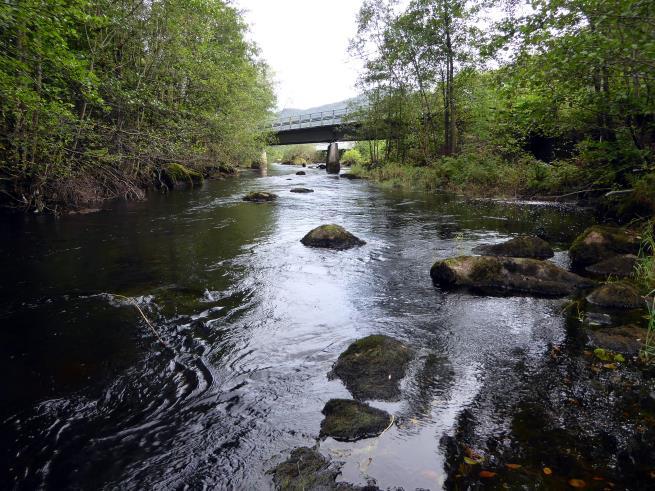 Tabell 1. Stasjoner i Hjelmelandsåna 2017 med angivelse av stasjonsnummer, stedsnavn og koordinater.