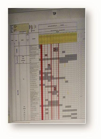 TIP- taktisk implementeringsplan Er et visuelt planleggings- og oppfølgingsverktøy - (daglig/ukentlig) detaljert plan som viser hva, hvordan, når og hvem som skal utføre forbedringene.