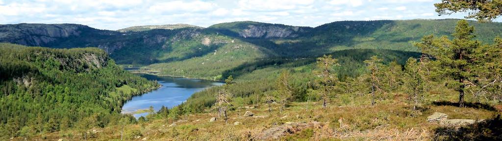 Oversikt over hyttefeltene på Gautefalltunet Terrasse, trinn 2 Terrasse, trinn 1 Nyttig informasjon om tomtene på Alpinbakker kafé