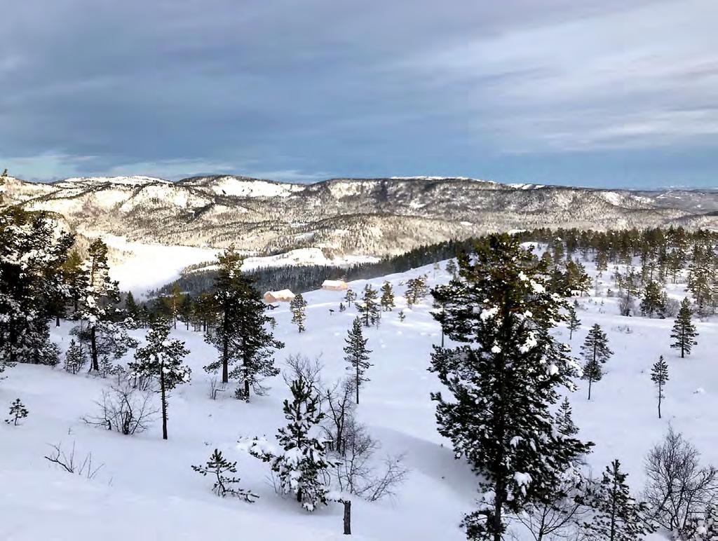 utsikt og hvor du renner rett ut i løypene.