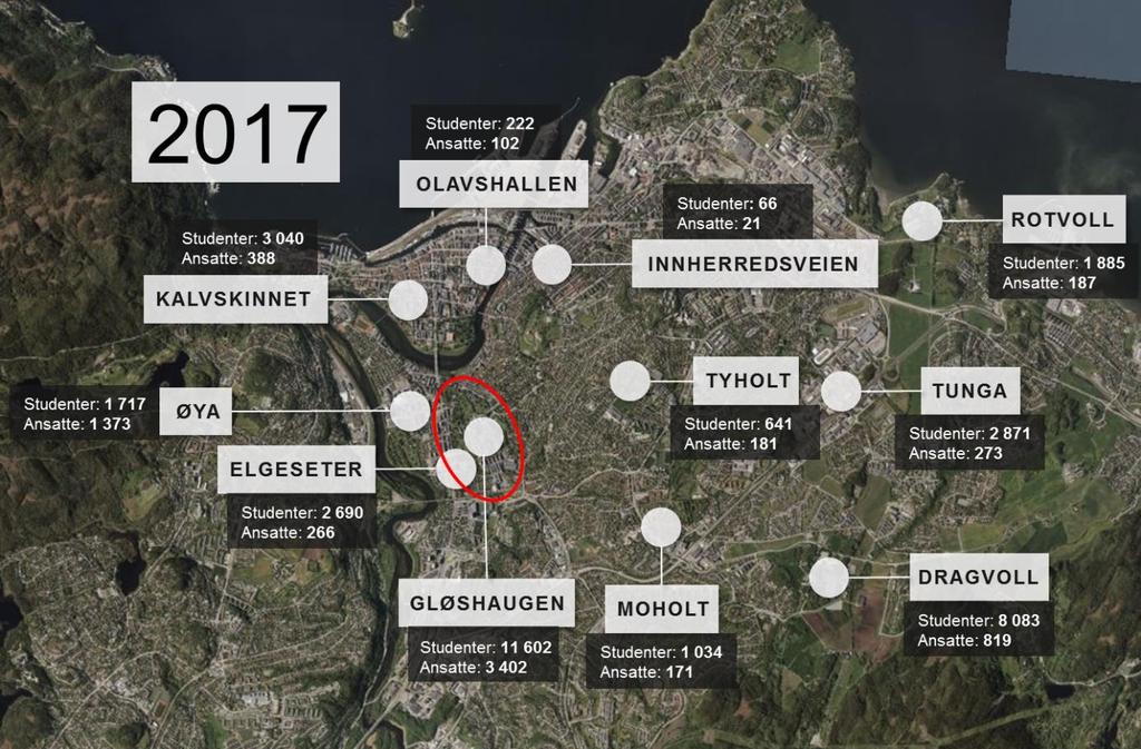 Figur 8: Studenter og ansatte NTNU Trondheim år 20