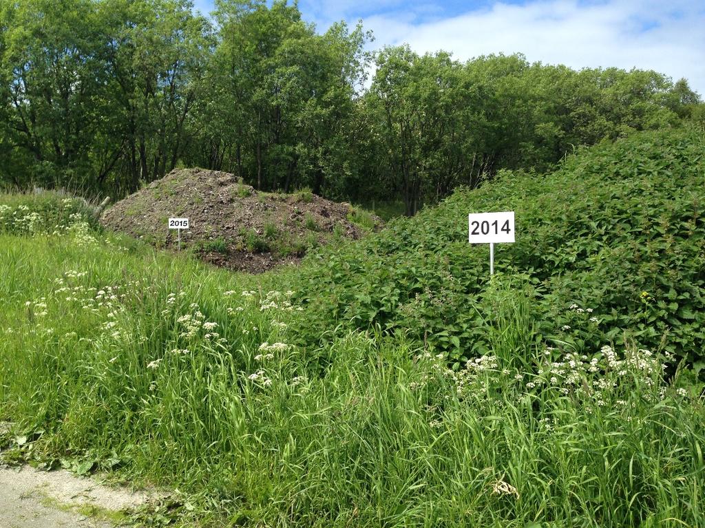 Bilde 2 Komposthauger for 2014 og 2015 (Foto: Fylkesmannen i Nord-Trøndelag 22.06.2017) 8. Andre forhold Ansvar Stakskaret slambehandlingsanlegg eies av Vikna kommune og drives av F. & T. Tankrens AS.