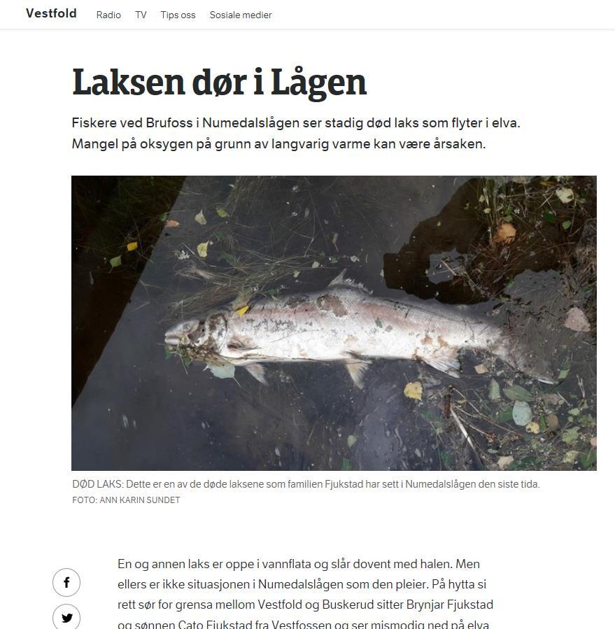 Med bakgrunn i den ekstraordinært lave vannføringen og høye vanntemperaturen, valgte styret en nøktern, avventende holdning og videreførte eksisterende fiskeregler.