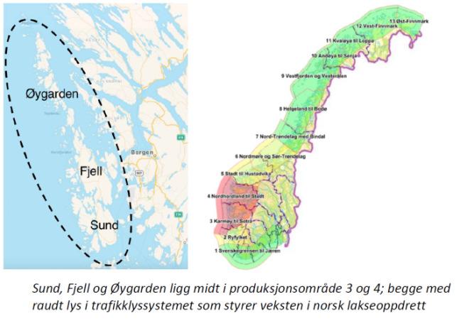 Samfunnsutvikling I august 2018 vart Hjeltefjorden Arena, friidrettsanlegget på Toftøy og ein rehabilitert skule på Rong opna og teke i bruk.