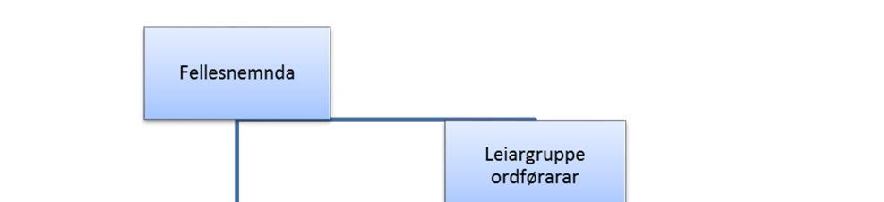 samordning og førebuing av samanslåingsprosessen slik det går fram av inndelingslova.