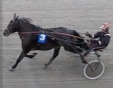 Løp 2 Fosby Liftutleies løp - DNTs 3-års pokal Kaldblods. 3-årige norskfødte.. Tillegg 20m for hver pokal. Tillegg 20m ved kr. 5 000,- 40m ved kr.