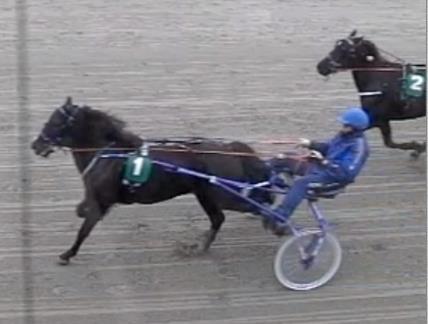 Løp 4 Gundersen Galvanos løp Kaldblods. 3-årige og eldre upremierte 1 Nr 1 Øygard Stjernen 5 Sandra Victoria Lathinen Morten Strand 1900 1.34,2 2:58,9 2 Nr 2 Frøken Flax 3 Jørgen A.