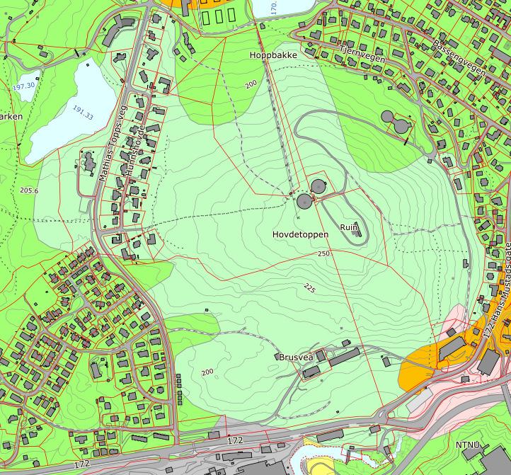 2 Vegetasjon og lokalklima Gjøvik ligger i sørboreal sone, svakt oseanisk seksjon.