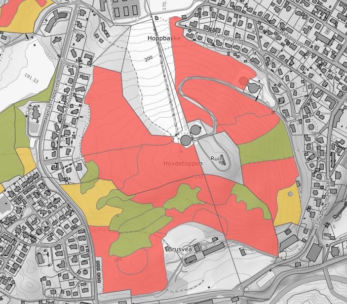 varmekjære arter. Selve Hovdetoppen er dekket av eldre, grandominert barskog, med noe innslag av løvtrær i søndre deler.