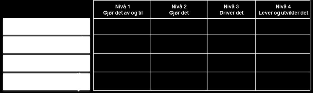 Selvevalueringsskjema nåværende lean ledelsesmodenhet Navn: Enhet: Dato: X X X X Fokusområde Dagens nivå