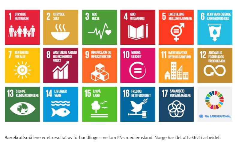 Tverrfaglege innsatsområder i 2019: FNs 17 berekraftmål Utvikle berekraftige kommunar