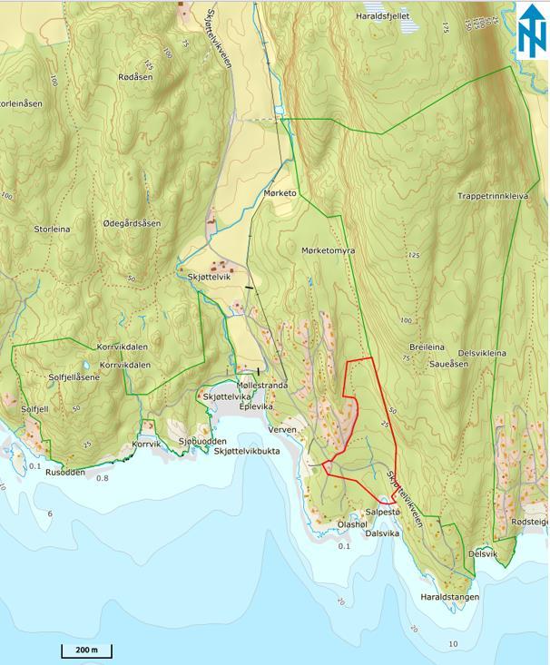 Structor Geomiljø AS 3 2. Områdebeskrivelse 2.1 Beliggenhet og terrengforhold Planområdet ligger sørlig vendt helt sørvest i Hurum kommune (Figur 1), og strekker seg fra ca.