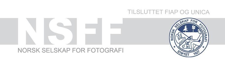 28. Hønefoss 2018 Hønefoss Kamera Klubb Nasjonal Fotokonkurranse for digitale bilder Resultatliste Av forskjellige grunner ble det en litt sein start i år, men responsen var desto bedre.