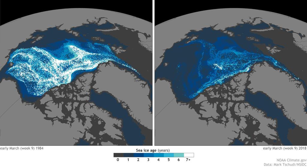 1984 2018 50 % of summer sea ice lost. 75% of volume.