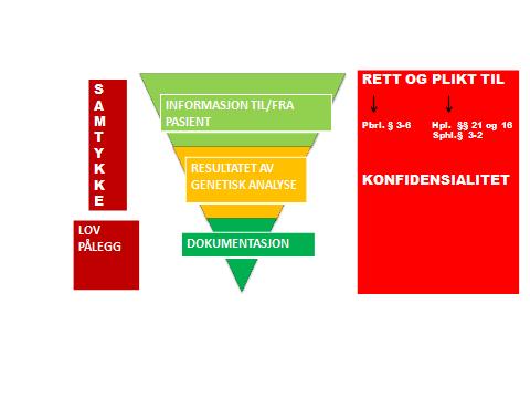 Stilltiende Uttrykkelig Gjentatt: