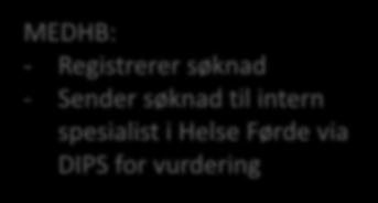 Intern spesialist (Helse Førde) : - Rekvirerer BHM - Dei