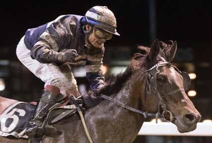 Flest seire og mest penger Priceless og Carlos Lopez vant sist uke, og du møter dem igjen i dagens 5. løp. Når det dreier seg om å bli champion som jockey på Øvrevoll, er det antall seire som teller.