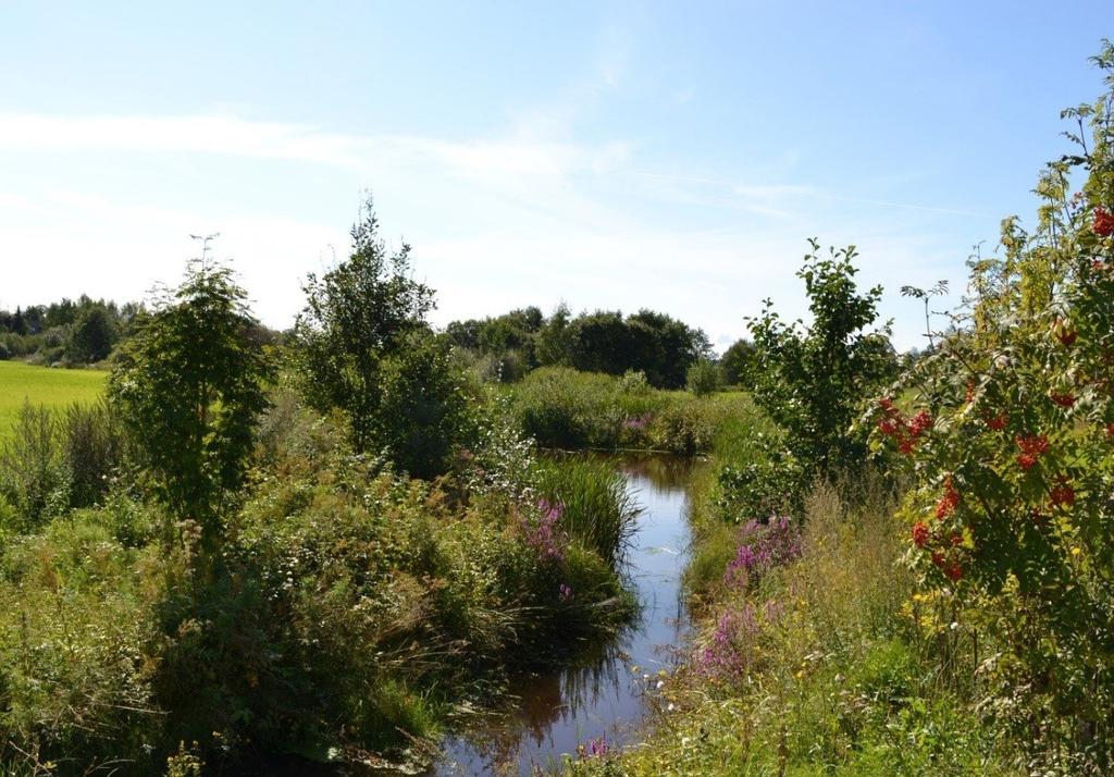 VEILEDER Nr 2/2019 Kantvegetasjon langs vassdrag Inger Staubo, Kjell