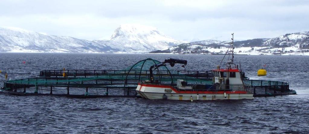 0 føre til økt fare for ras og snøskred. Dette er faktorer som kan øke faren for rømming av fisk, men også øke faren for helse og sikkerhet hos de som jobber på anleggene.