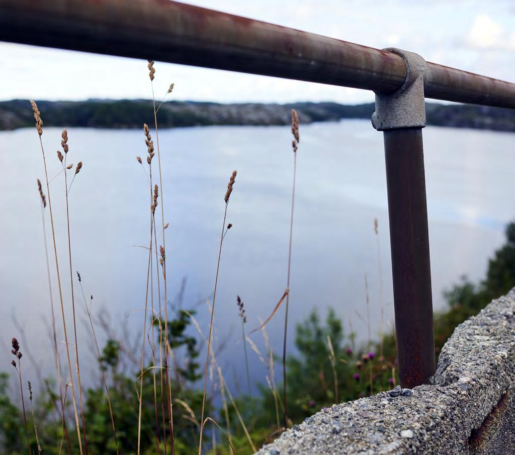 Det er defnert prioriteringskriterium innanfor kvart satsingsområde, som eit verktøy for å fremje dei prosjekta og tiltaka som har best måloppnåing.