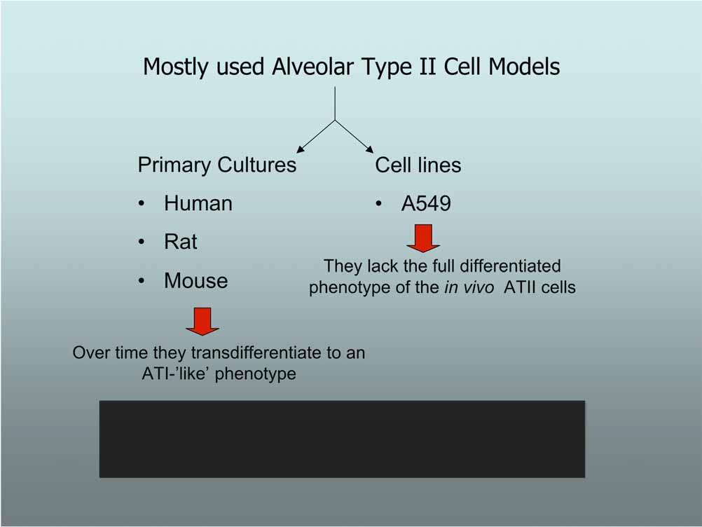 Mostly used Alveolar Type II Cell Models Primary Cultures Human Rat Mouse Cell lines A549 They lack the full differentiated phenotype of the