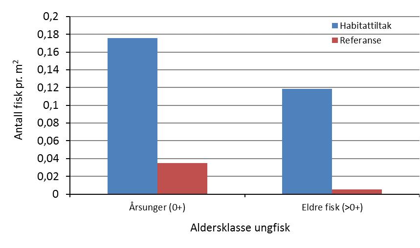 Figur 1. Gjennomsnittlig antall årsunger (0+) og eldre fisk (>0+) pr.