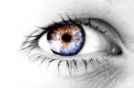 hos forsøkspersonene. Ved økt kognitiv belastning øker pupillstørrelsen Overskrides maksimal kapasitet, reduseres pupillstørrelsen igjen.