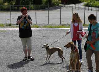 2 Tilla med Malteser BARN og HUND OVER 10 ÅR Nr.