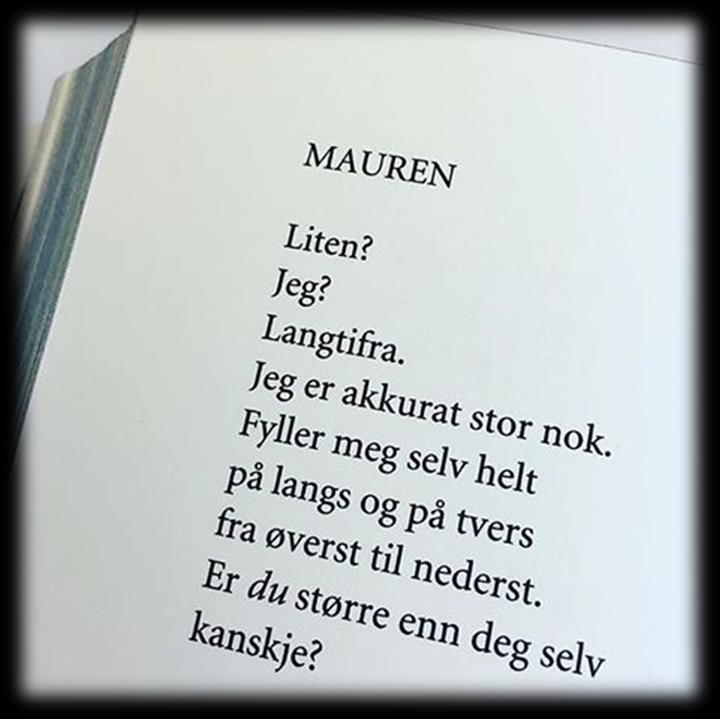 Innhold 1. Innledning s. 3 2. Maurtua vår 2019 s. 4 Barnegruppa og personalet 3. Temaer og mål for perioden s.