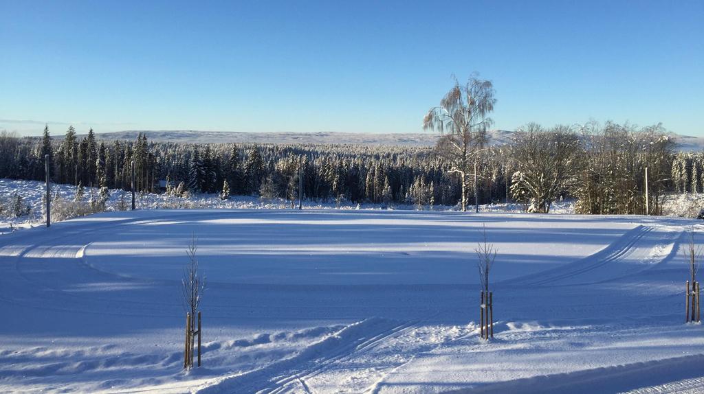 «TILBAKE TIL ARBEID, TROSS SYKDOM. HVA HJELPER?» Kurs i Trygdemedisin Olavsgaard, 20.03.