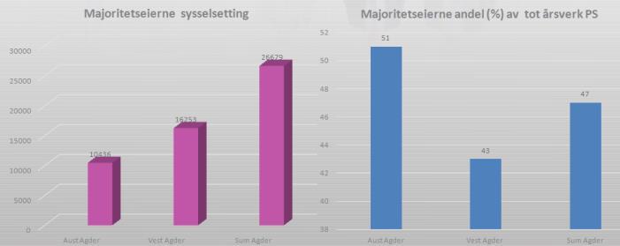 Eierskifteanalyse